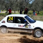 24 platis
